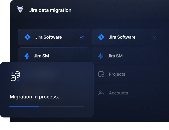 Jira data migration and management